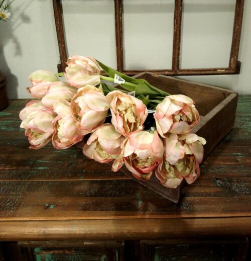 tulipaner rosa med fine blade