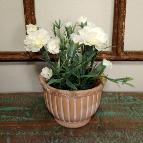 Nellike potteplante hvid minimix fin 15 cm