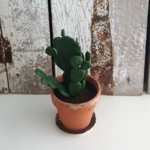 Kaktus flergrenet plante