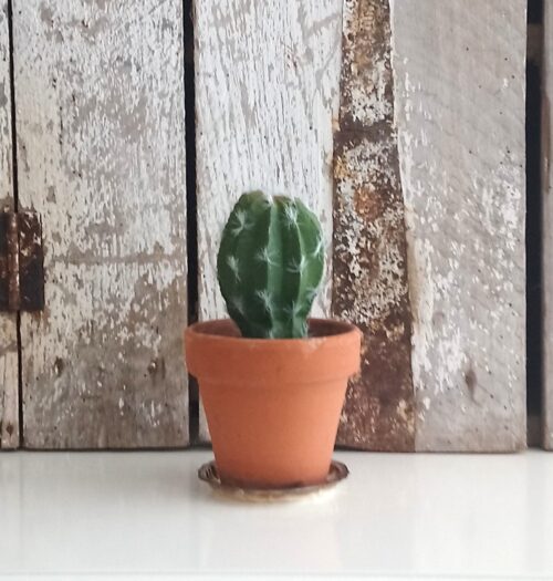 Kaktus helt enkel og naturtro