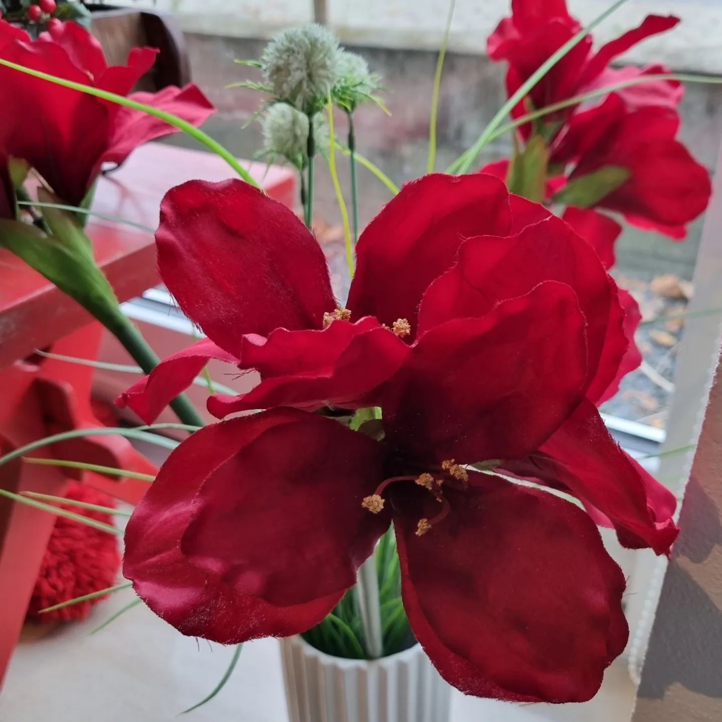 Flot rød Amaryllis