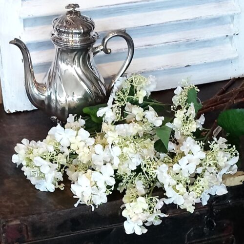 Hortensia rosa/hvid med mange små blomster