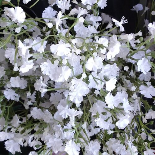 Brudeslør hvide blomstergrene – flotte fyldige