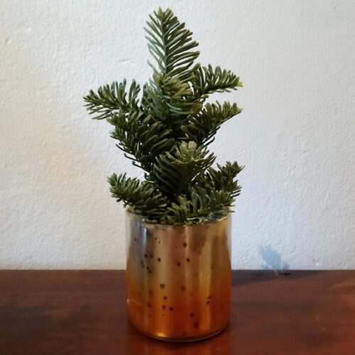 Fint lille Grantræ i potte – flot grønt