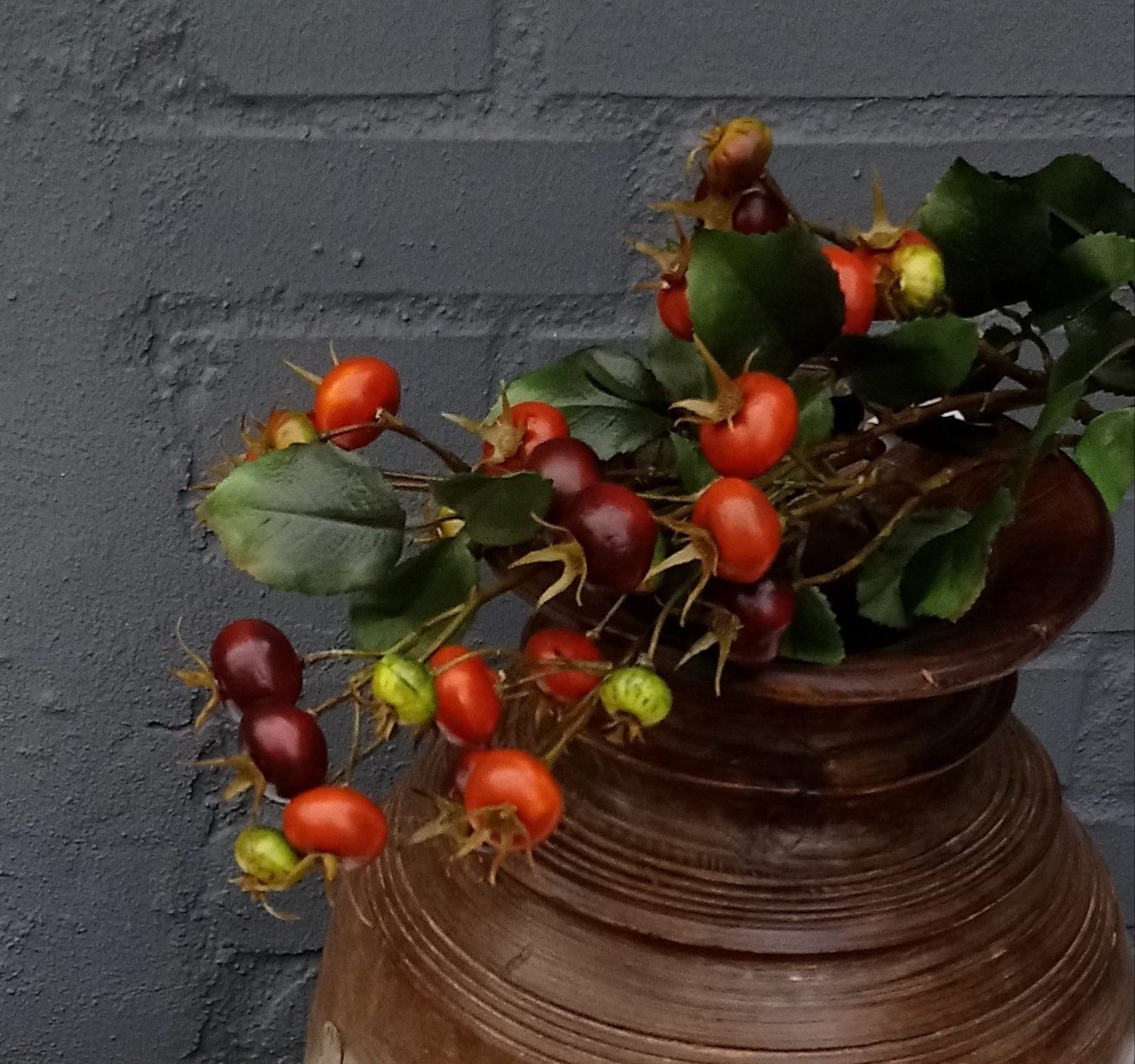 Smukke Hybenbærgrene