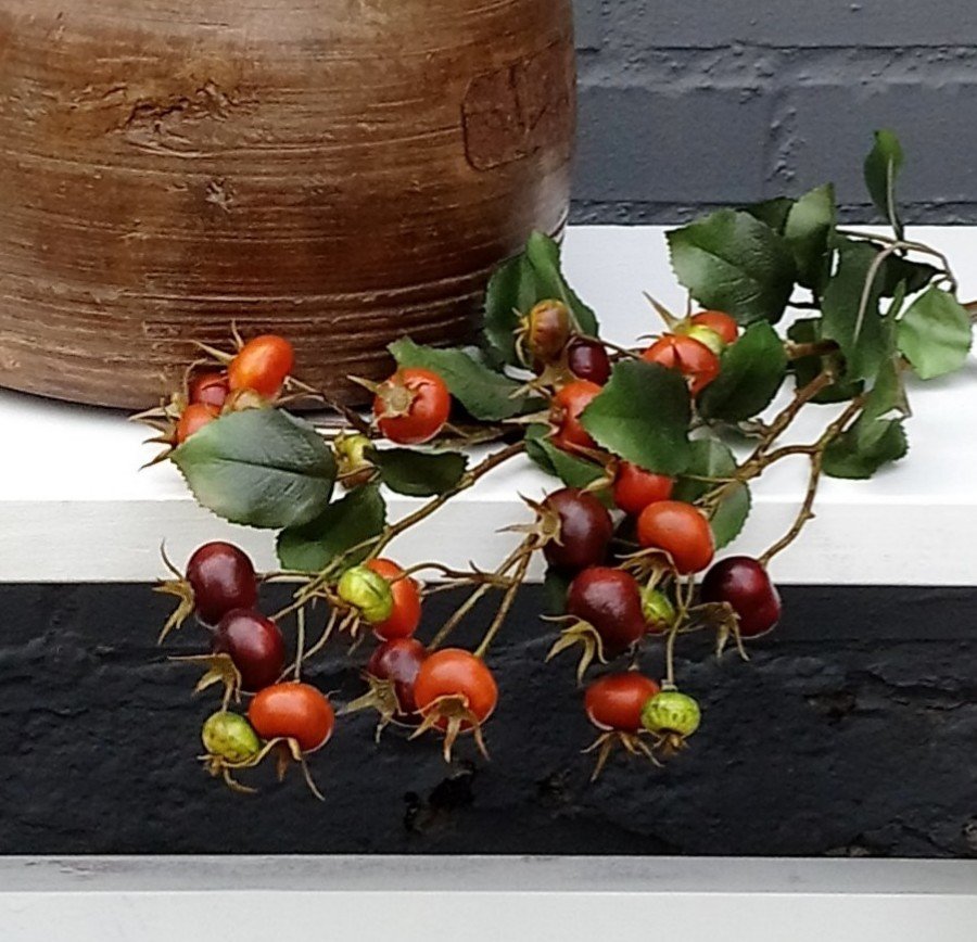 Smukke Hybenbær grene