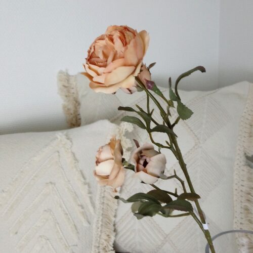 Tørret Rose – flergrenet med fine blomsterhoveder