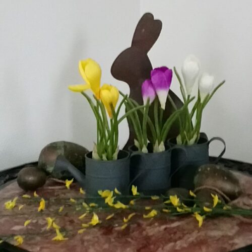 Krokus gul – den sødeste forårs blomst i potte