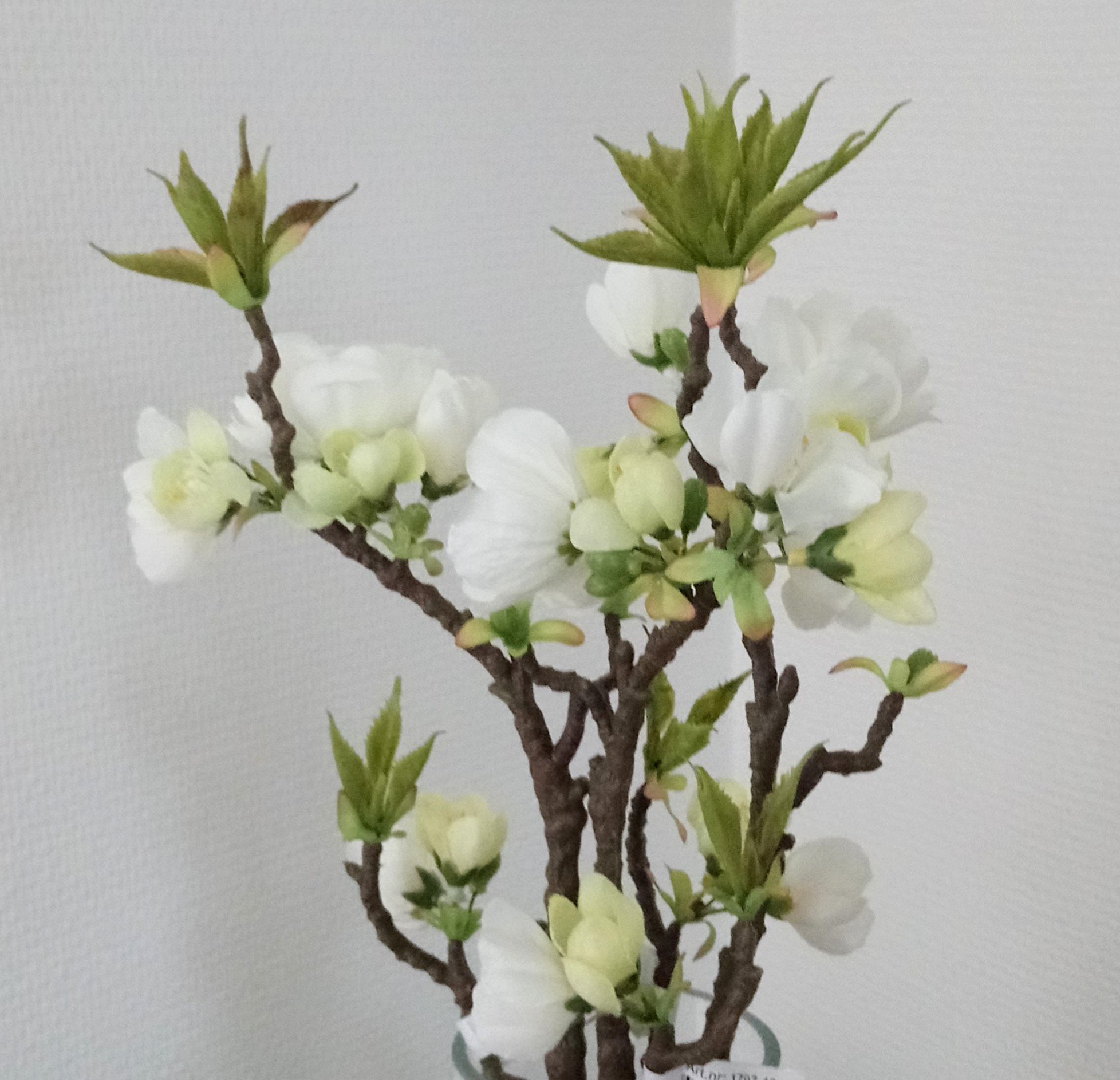 Æblegrene med mange blomster