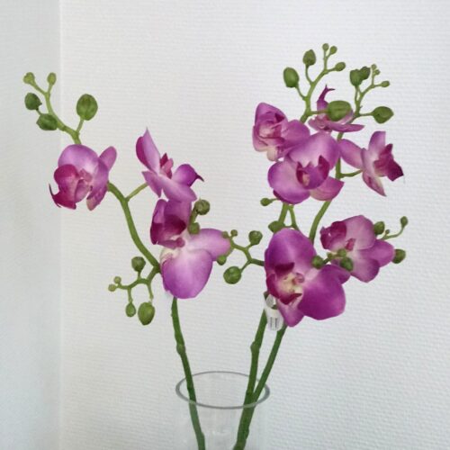 Orkidé stilk smuk 2-farvet – fin til vasen