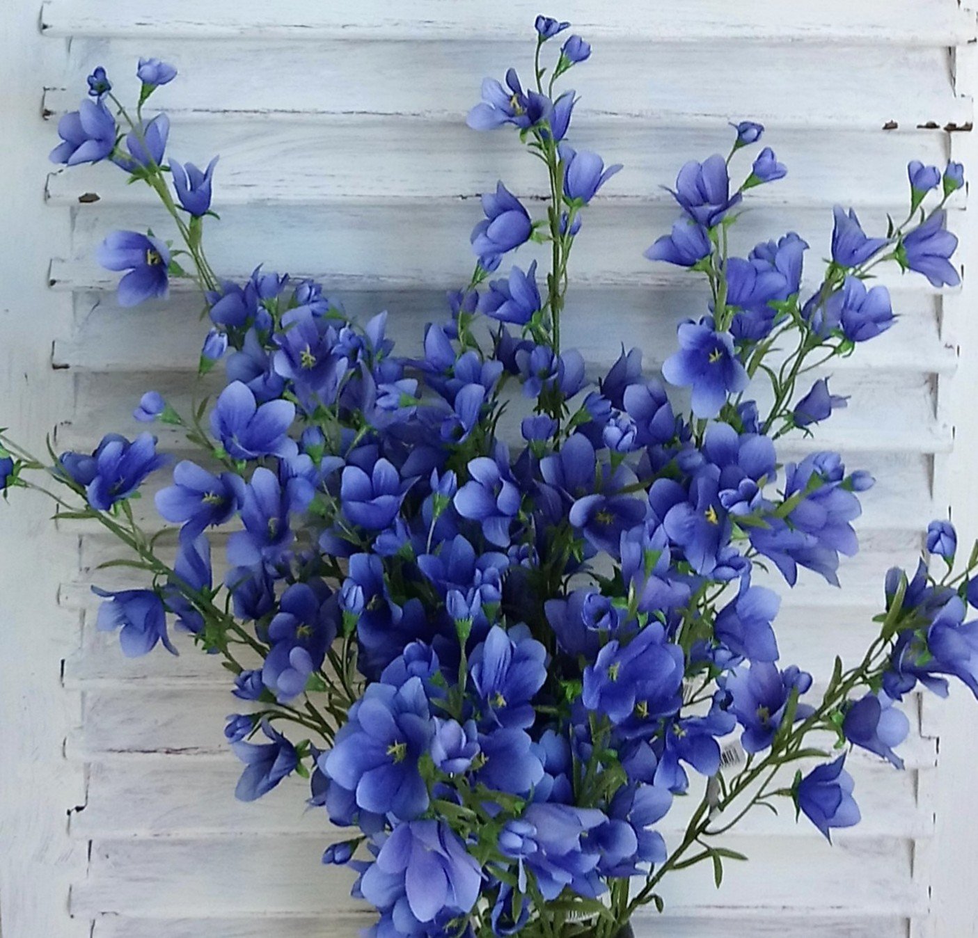 Klokkeblomst blå blomstergren