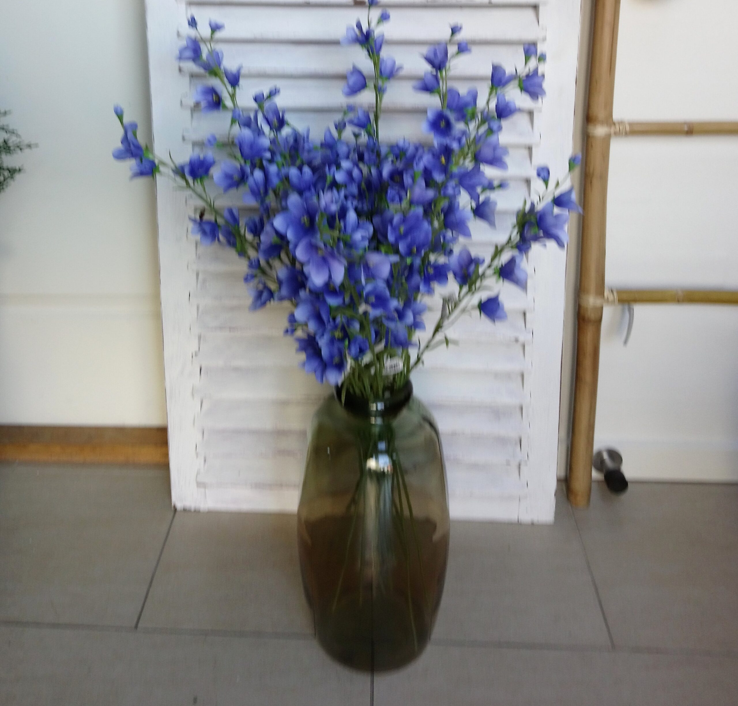 Klokkeblomst blå