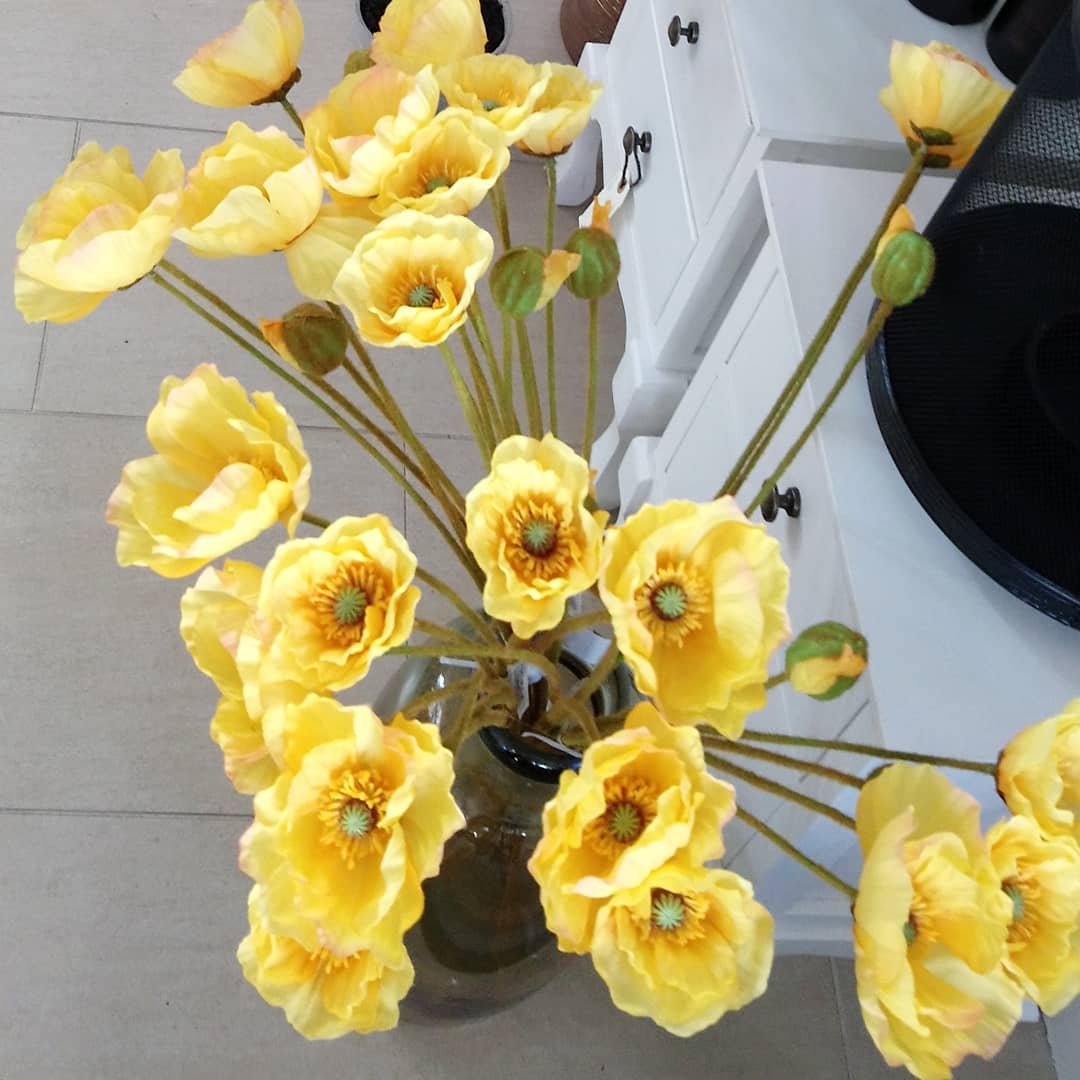 Skønne gule Valmuer