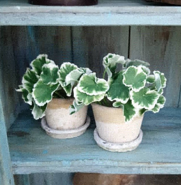 Antikke Holbæk lerpotter