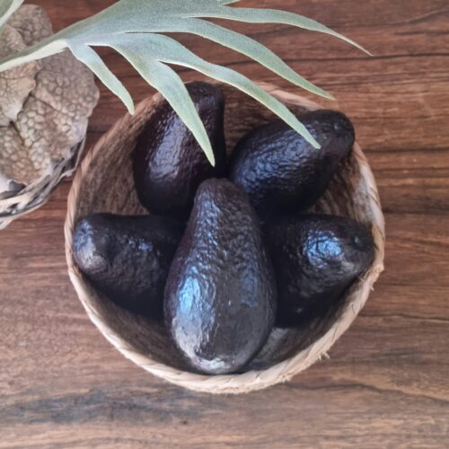Avocado – flot kunstig naturtro og dekorativ