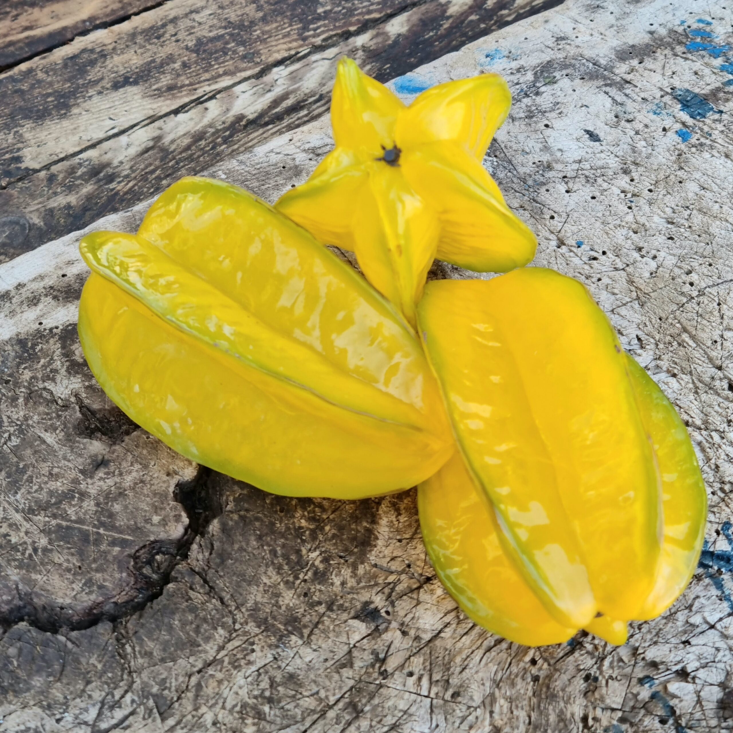 Carambole / Stjernefrugt