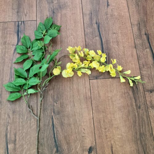 Wisteria gul blomstergren Guldregn 100 cm