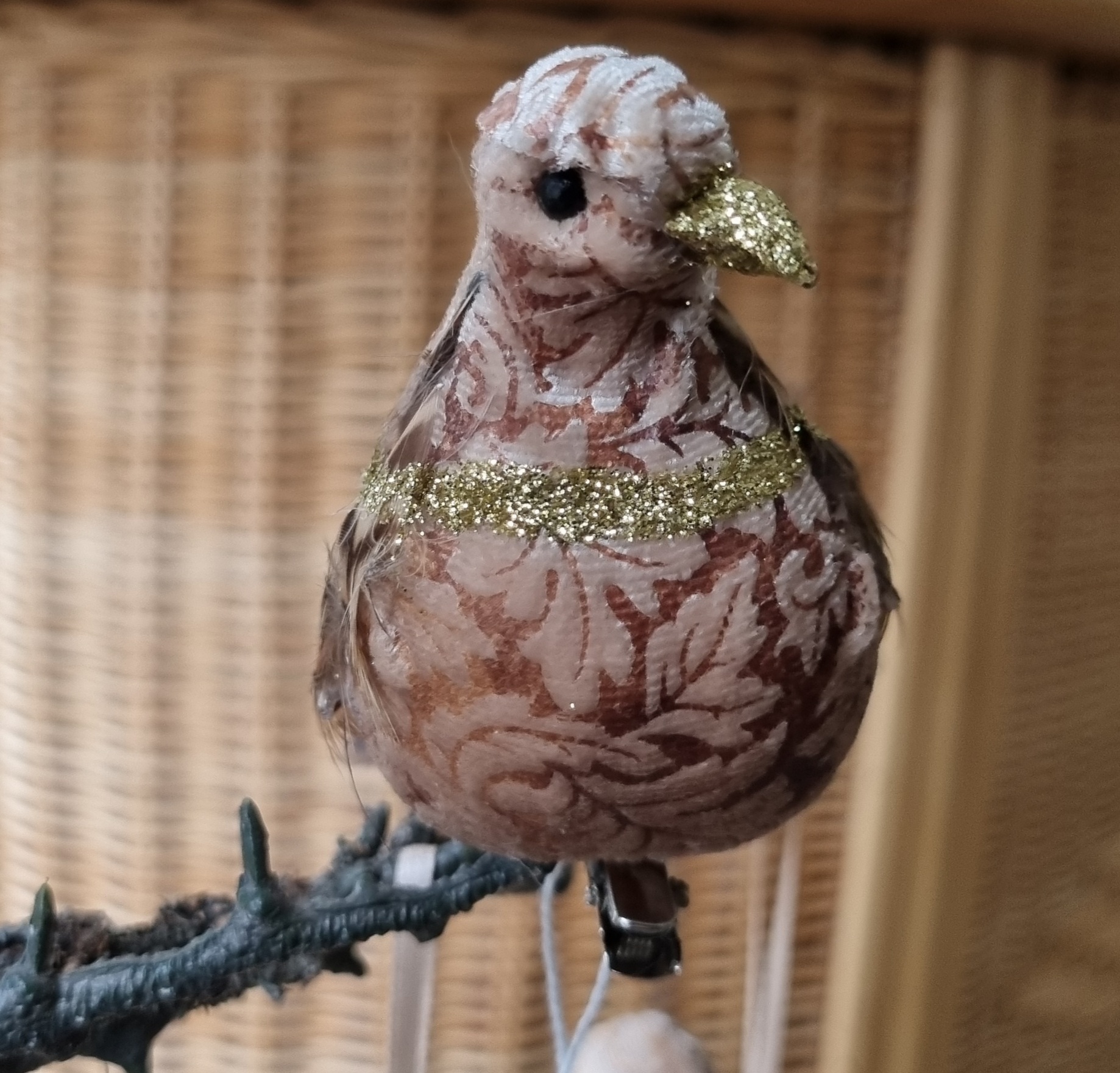 Velourfugl med fjerhale