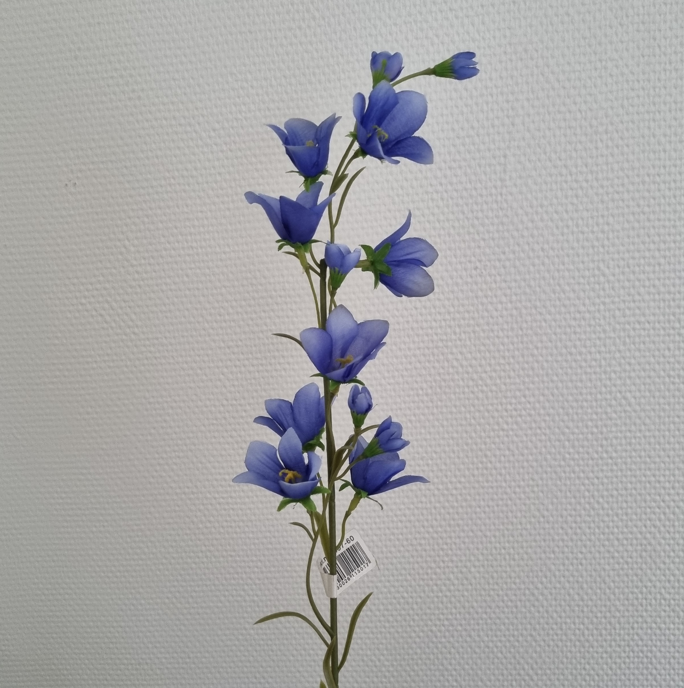 Klokkeblomst blå
