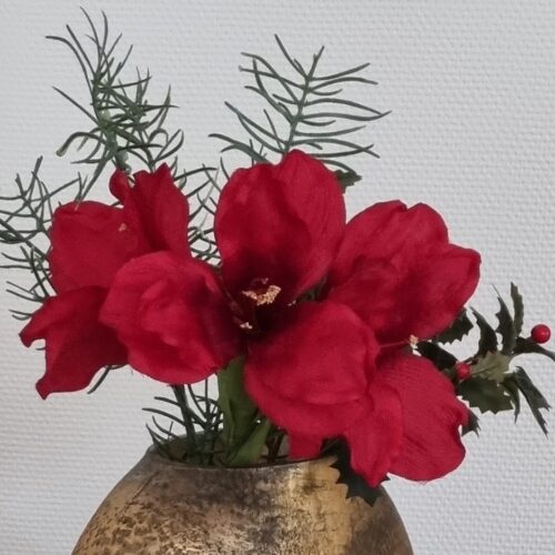Flot rød Amaryllis med stort fyldigt blomsterhoved