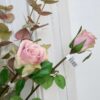 Rosa langstilkede roser