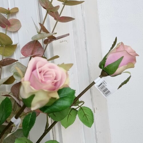 Rosa langstilkede roser