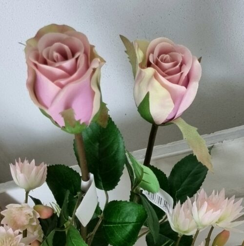 Rosa langstilkede roser
