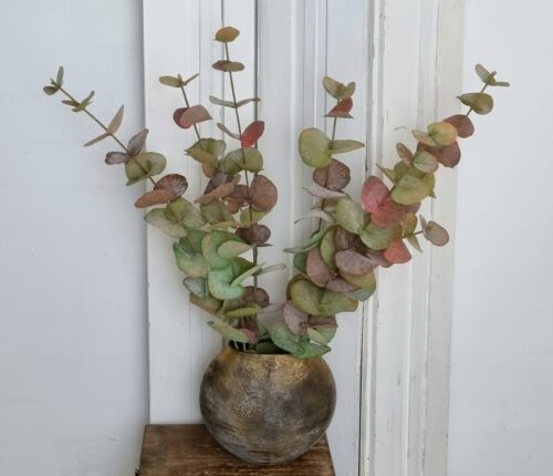 Eucalyptus 3-grenet