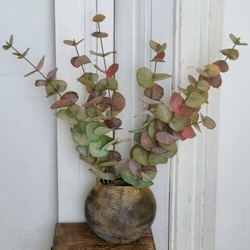Eucalyptus 3-grenet rosa/oliven farvede – store flotte