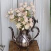 Smuk Blushing Bride protea