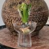 Hyacintglas med smuk rillet effekt
