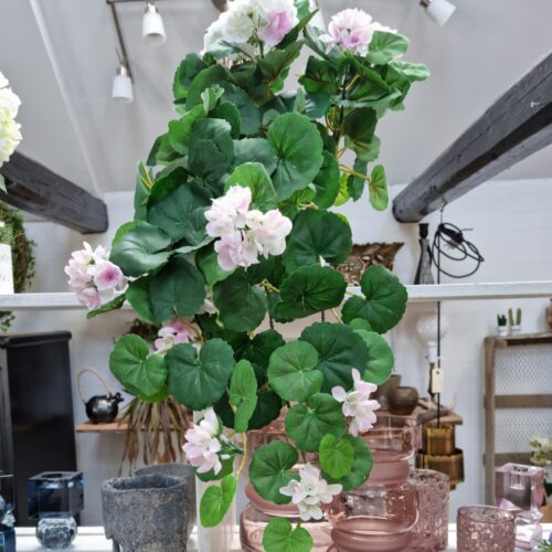 Flot hænge Pelargonie rosa/hvid – smuk naturtro
