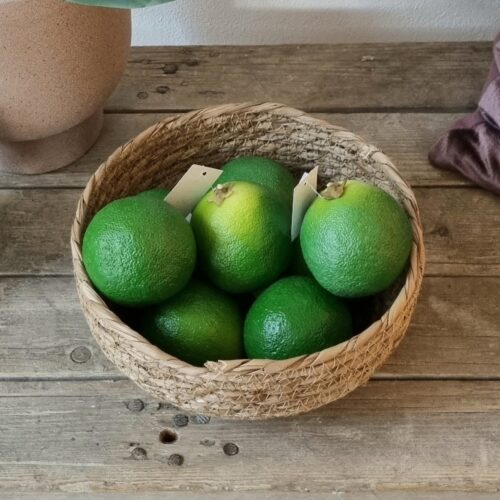Flotte naturtro lime frugt i smuk grøn farve
