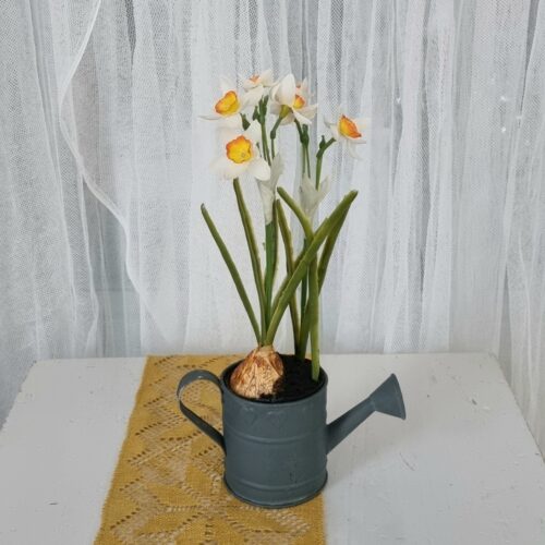 Pinseliljer i potte – minimix plante 22 cm høje