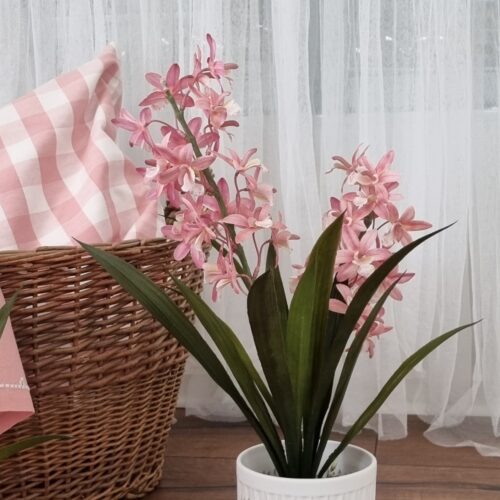 Stor rosa Orkide – Cymbidium smuk naturtro