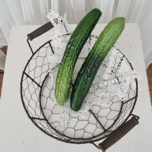 Flotte sprøde agurker – kunstige naturtro
