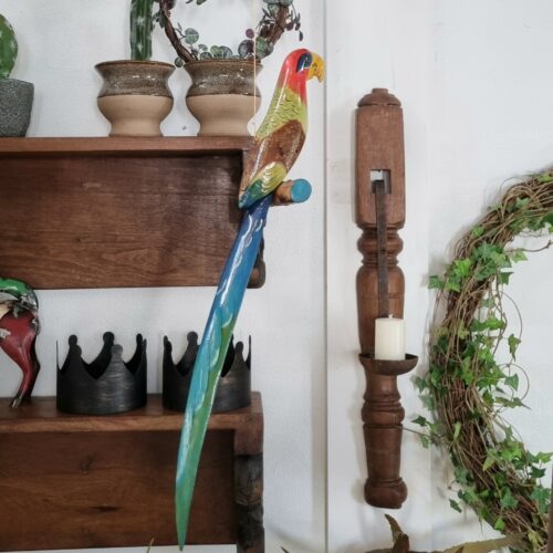 Skøn papegøje i smukke farver