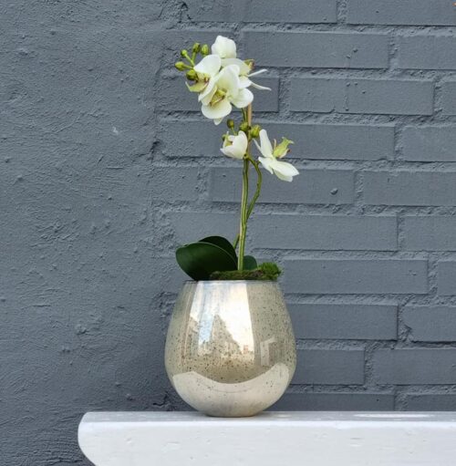 Lanterne i glas "fattigmands"