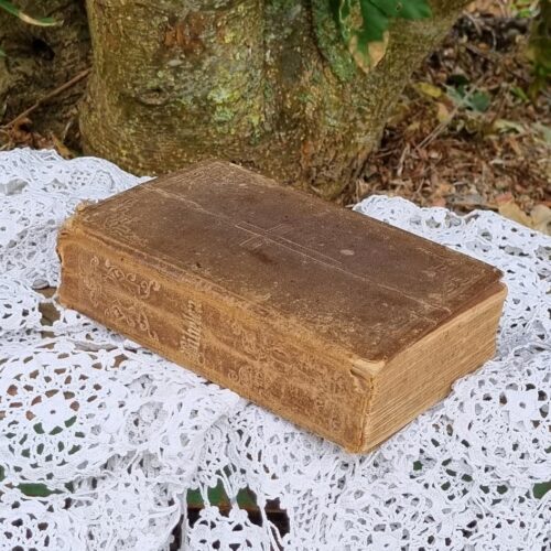 Antik bibel i patineret stand – med tørrede blomster i