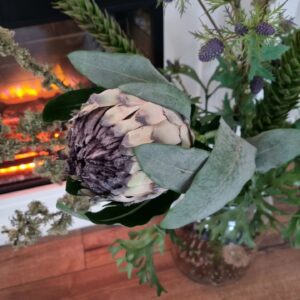 Protea 2-grenet lilla stilk