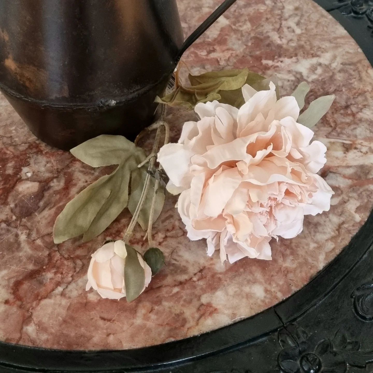 Tørret Pæon - sart rosa
