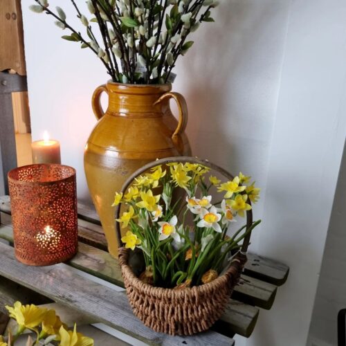 Pinseliljer og påskeliljer i potte