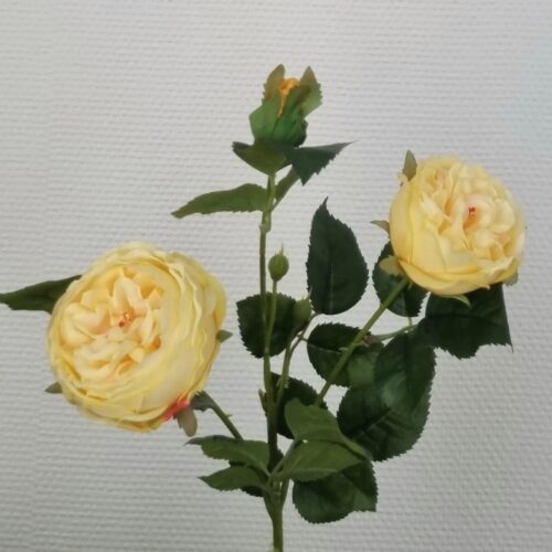 Smukke gule roser – flot 3-grenet