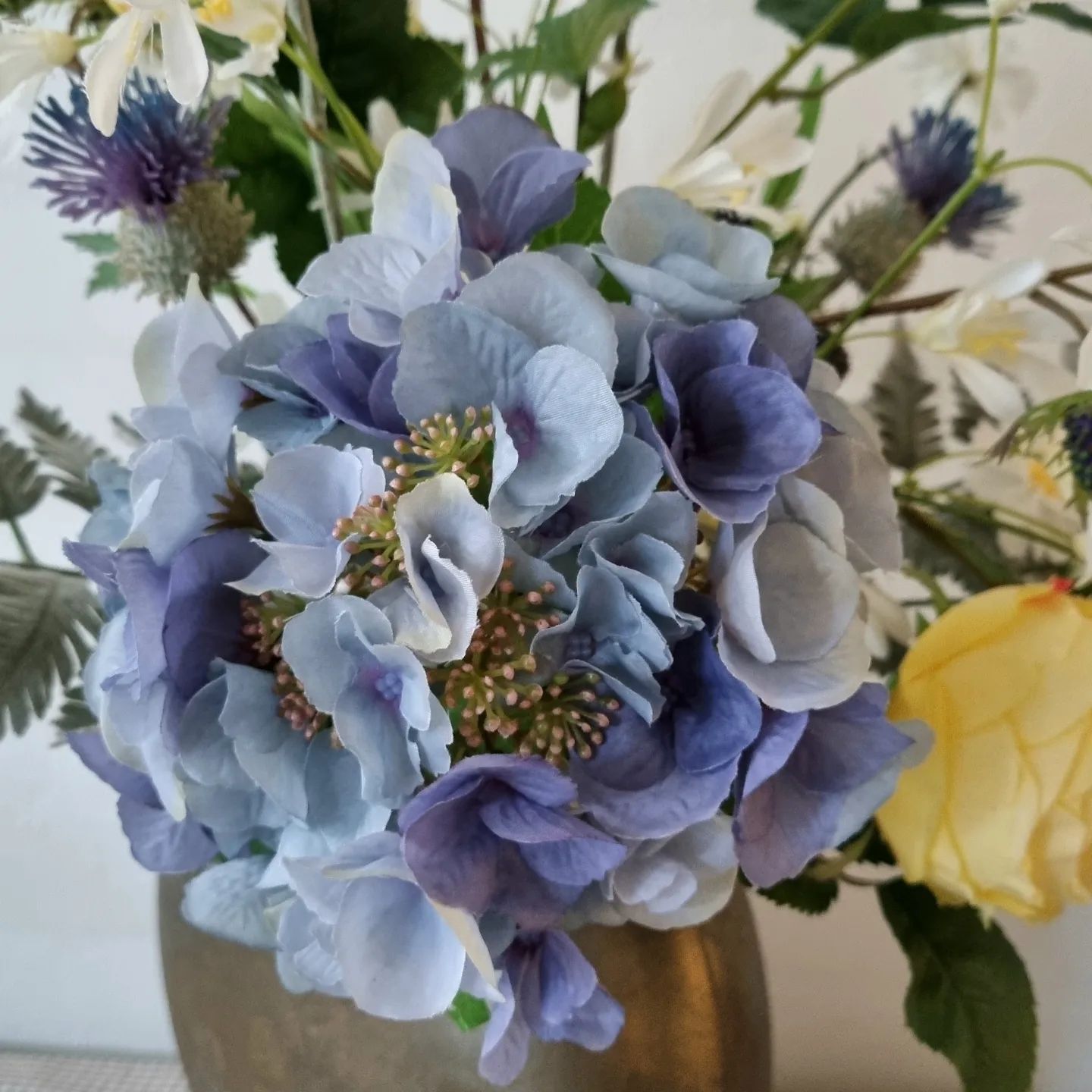 Smuk blå Hortensia stilk