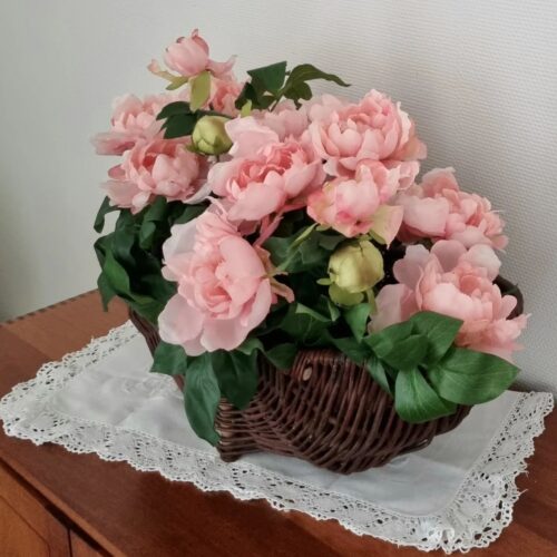 Smuk stor Pæon i potte – med flotte blomster