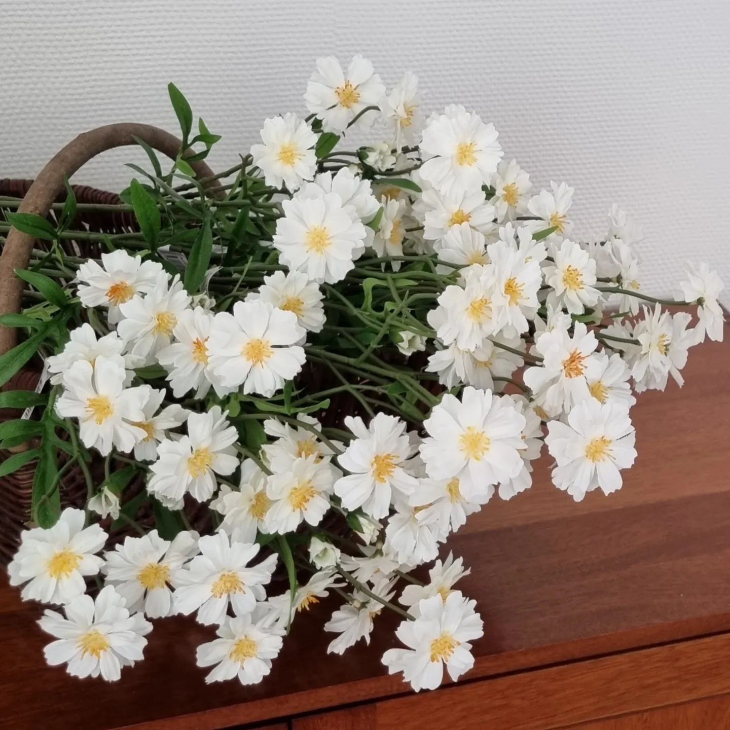 Cosmos søde hvide og gule blomster
