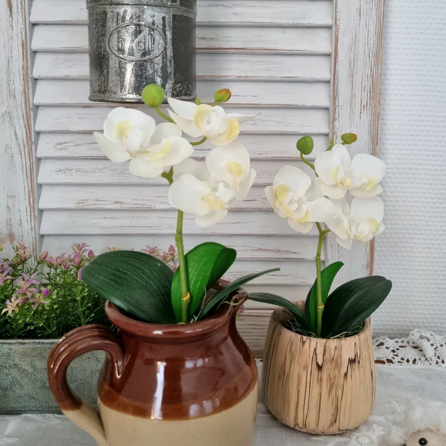 Orkidé hvid i potte