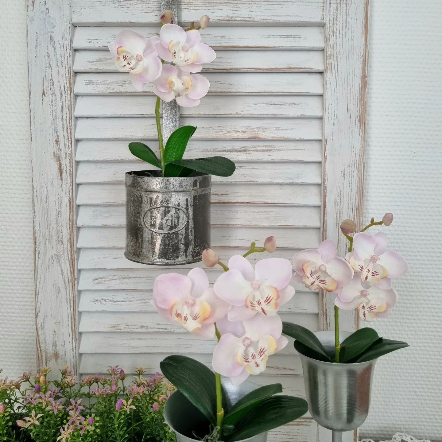 Orkidé lys rosa i potte