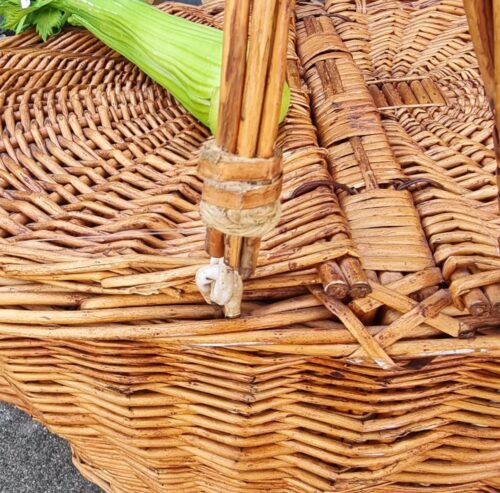 Fin picnickurv