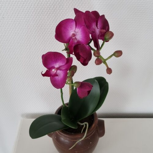 Flot cerise Orkidé 2-grenet med smukke blomster
